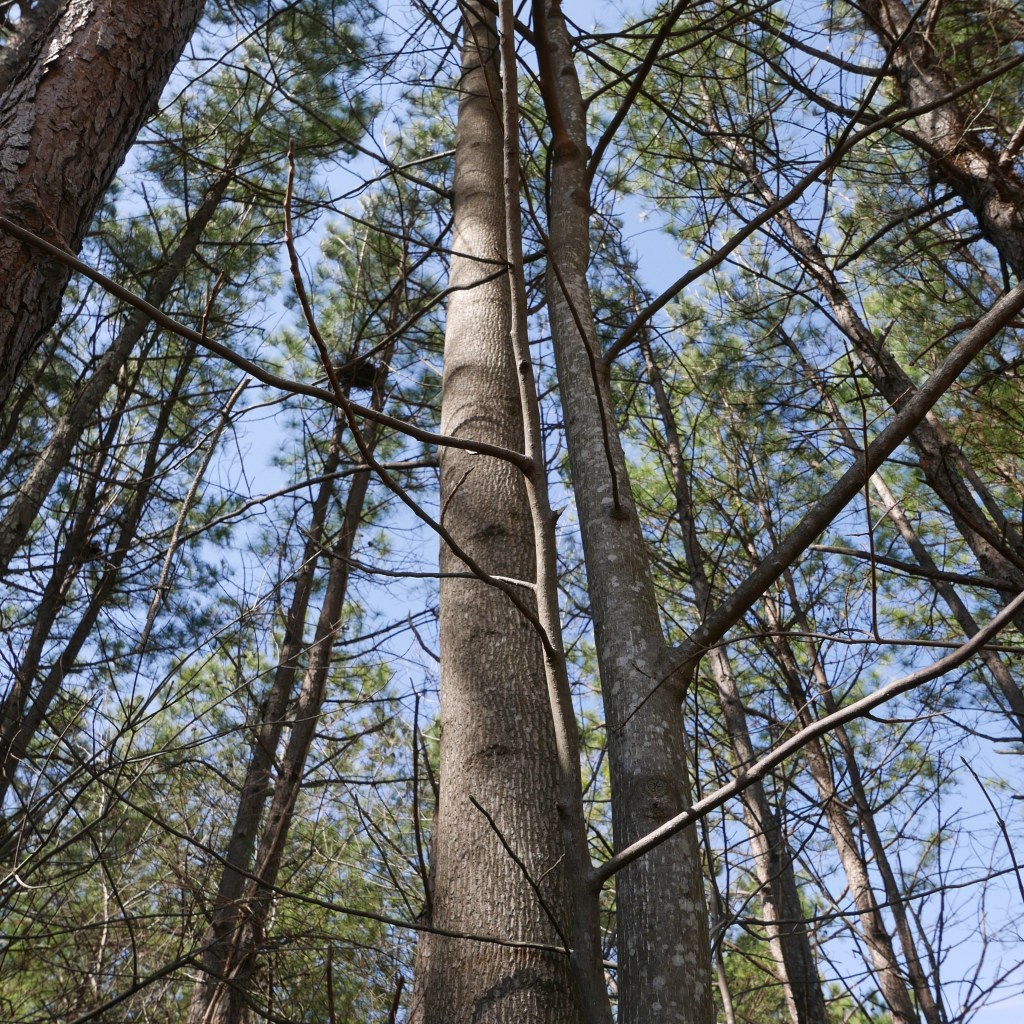 The Lay of the&nbsp;Land